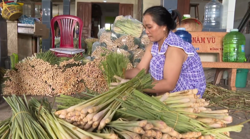 Giá sả tại Đồng Tháp tăng cao