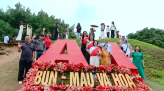 Đàn chim, cò hàng ngàn con xuất hiện ở khu đất ngập nước Tràm Chim