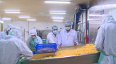 Xuất khẩu hồ tiêu giữ đà tăng