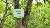Lo ngại hóa đơn tiền điện tăng cao trong những tháng nắng nóng