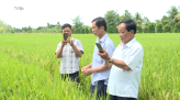 Vụ 900 con rắn sổng chuồng: Đã có nạn nhân bị cắn tử vong