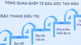 Trao 16 bộ huy chương tại giải Boxing Đại hội Thể dục thể thao tỉnh Đồng Tháp lần thứ I năm 2026