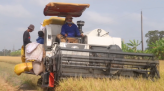 Du lịch Đồng Tháp nhộn nhịp dịp Lễ 2-9