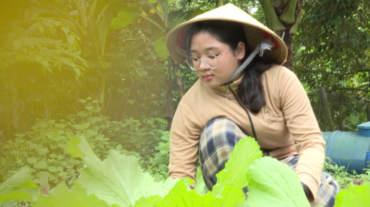 Nâng bước đến trường - 28/9/2026: Hoàn cảnh em Trần Thị Tường Vy