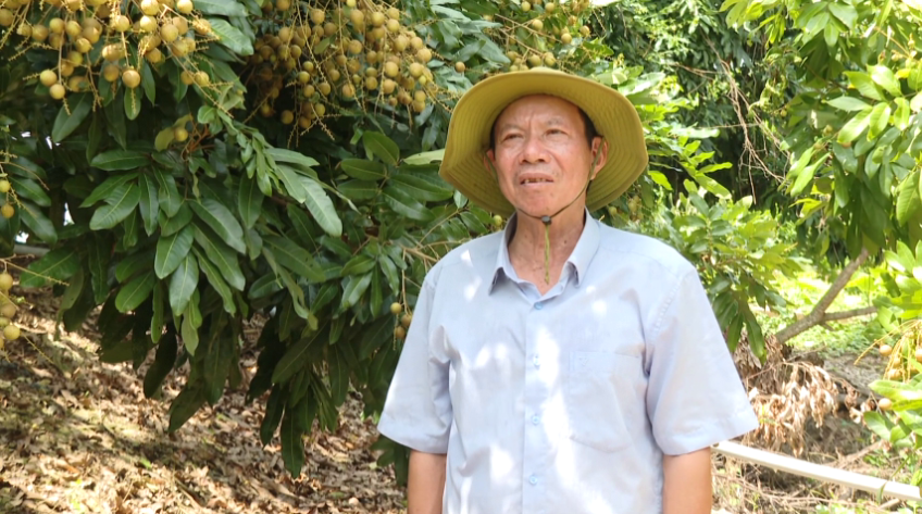 Lê Văn Hòa - Nông dân làm giàu, giúp ích cộng đồng