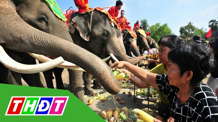 Thái Lan tổ chức Ngày Voi quốc gia