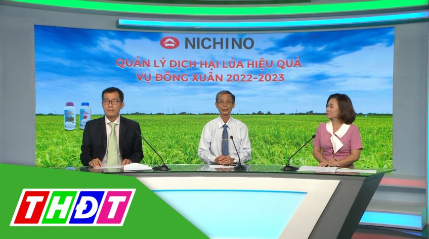 Tư vấn Khuyến nông - 26/12/2022 - Quản lý dịch hại lúa hiệu quả vụ Đông Xuân 2022 - 2023