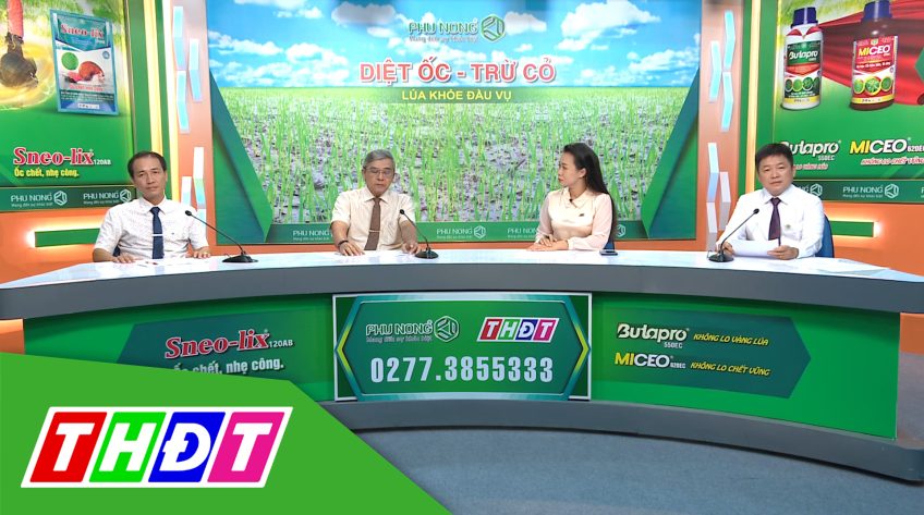 Tư vấn Khuyến nông - 2/11/2020 - Diệt ốc - Trừ cỏ - Lúa khỏe đầu vụ