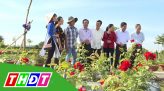 Tết miền Tây - 05/02/2019