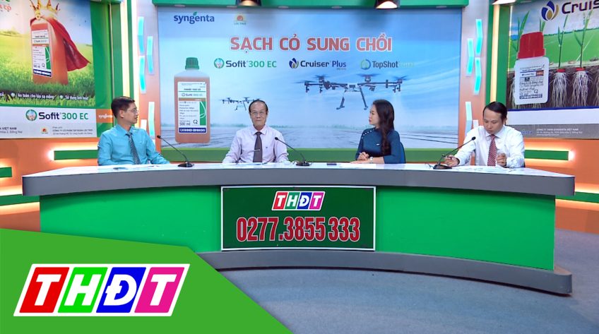 Tư vấn Khuyến nông - 5/4/2021 - Sạch cỏ sung chồi