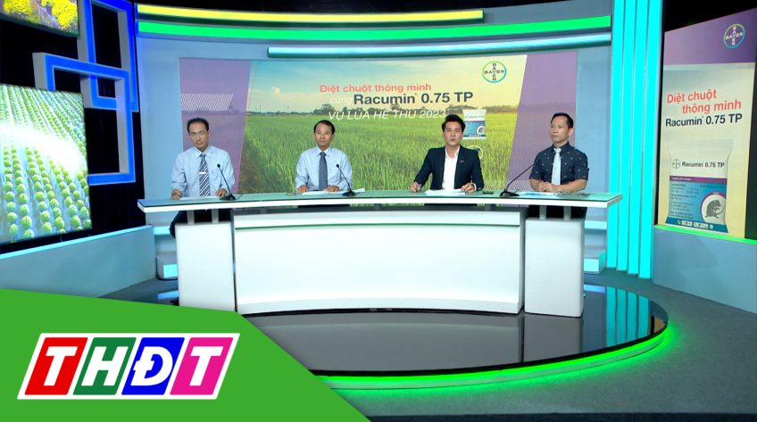 Tư vấn khuyến nông - 22/5/2023 - Diệt chuột thông minh cùng Racumin vụ lúa Hè thu